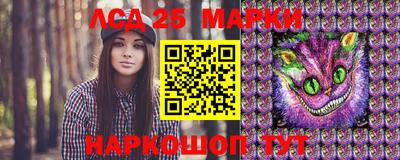 меф Гатчина